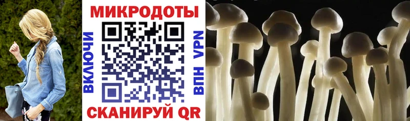 Купить где  Зуевка  Псилоцибиновые грибы ЛСД 